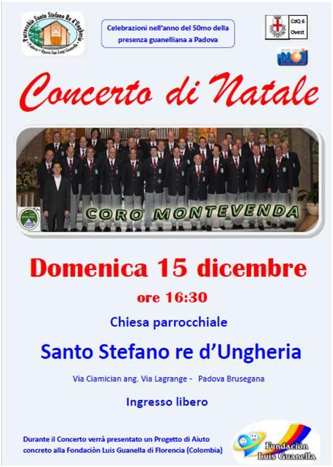 concertobrusegana 1 20131125 2061248904